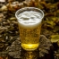 Autumn,Beer,Yedigoller,Bolu,Turkey