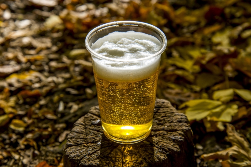 Autumn,Beer,Yedigoller,Bolu,Turkey