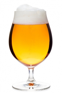 Tulip glass of pilsener beer isolated
